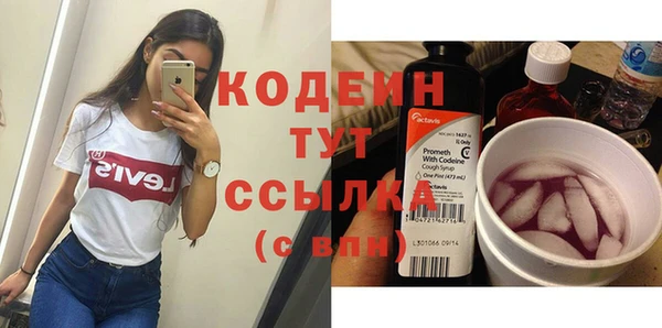 сатива Покачи