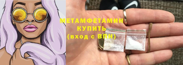 сатива Покачи