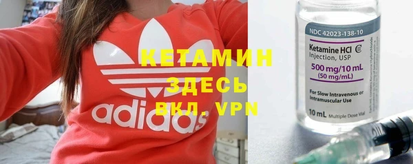 сатива Покачи