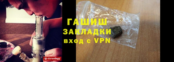 сатива Покачи
