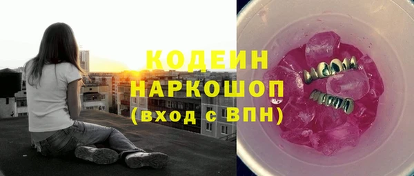 сатива Покачи
