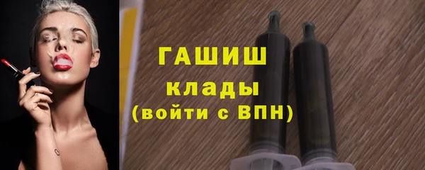 сатива Покачи