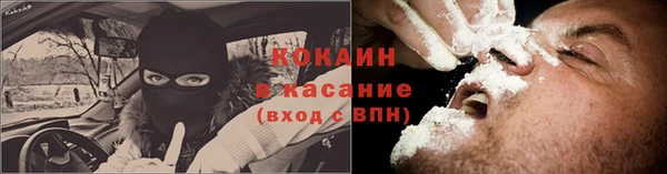 сатива Покачи