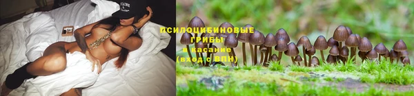 а пвп мука Покров