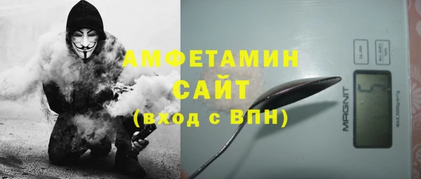 сатива Покачи