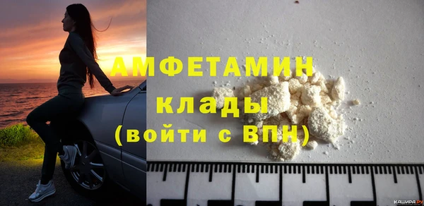 сатива Покачи