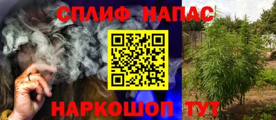 гашик Аргун