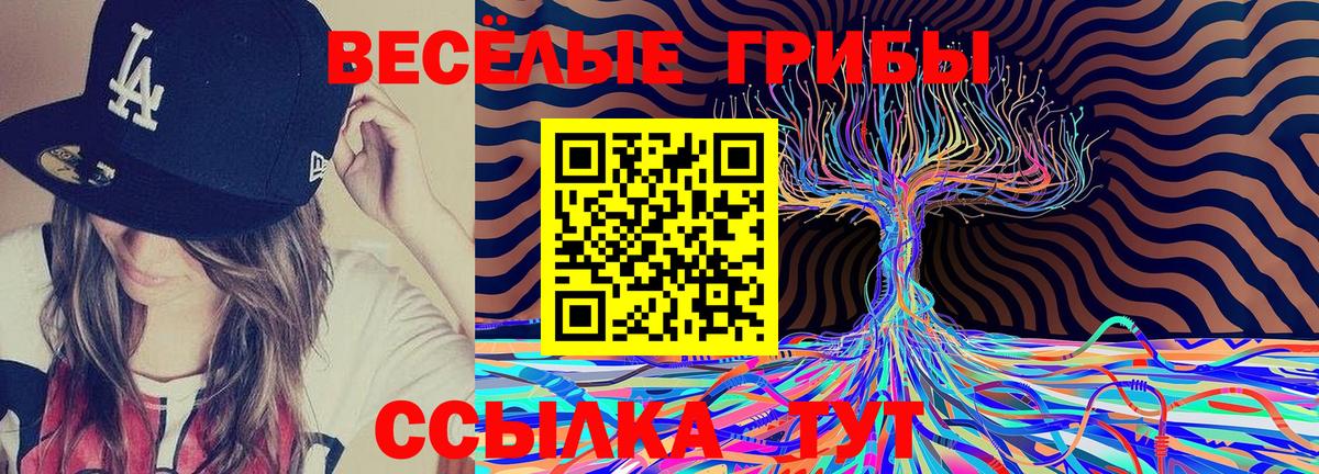 Галлюциногенные грибы мицелий  Галлюциногенные грибы MAGIC MUSHROOMS  Северобайкальск 