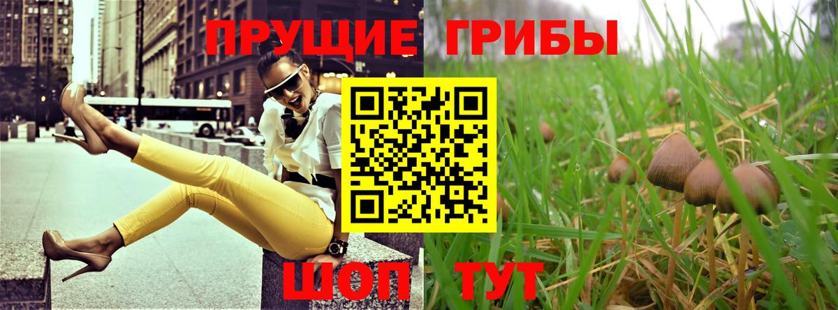 Галлюциногенные грибы Cubensis Северобайкальск