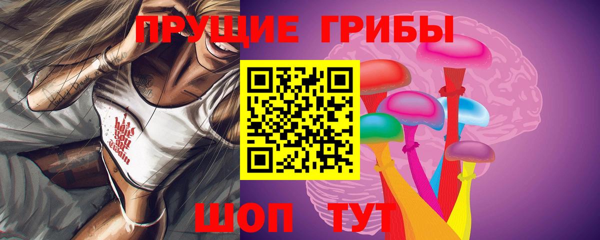 Северобайкальск  Галлюциногенные грибы Cubensis  цена   Вход с VPN 