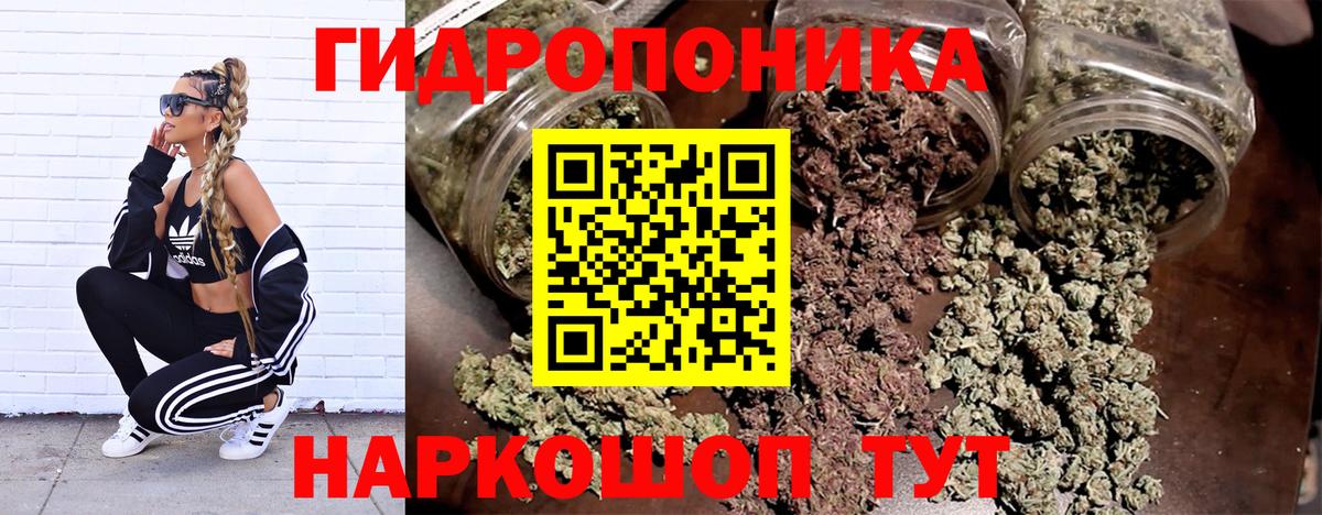 Северобайкальск  Конопля сатива  Конопля тримм  Бошки марихуана ГИДРОПОН  Вход с VPN 